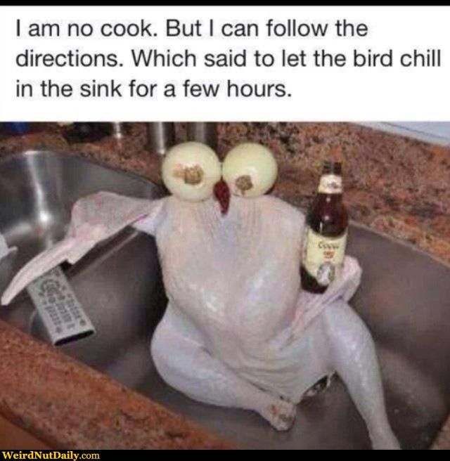 funny turkey jokes - I am no cook. But I can the directions. Which said to let the bird chill in the sink for a few hours. WeirdNutDaily.com