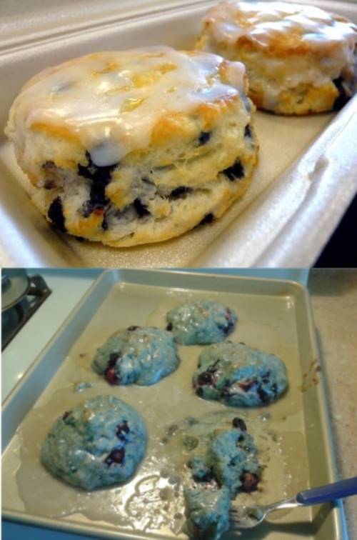 new blueberry biscuits