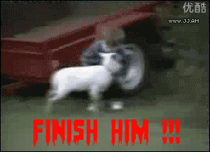 finish him goat gif - 085 Finish Him W
