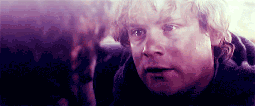 lord of the rings sam gif