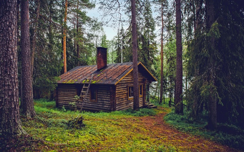 log cabin