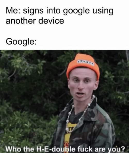he double fuck are you - Me signs into google using another device Google Who the HEdouble fuck are you?