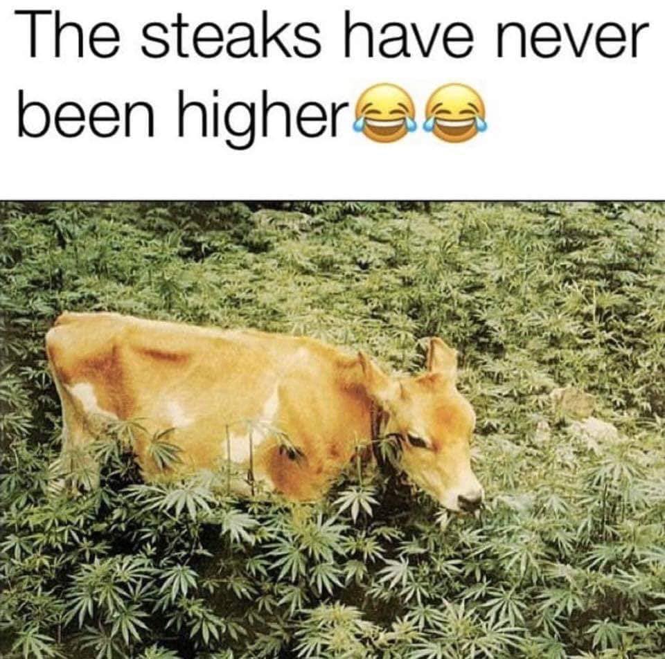steaks have never been higher - The steaks have never been higheres
