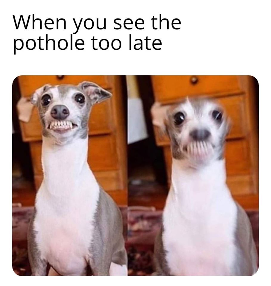 anxious and fast dog meme - When you see the pothole too late