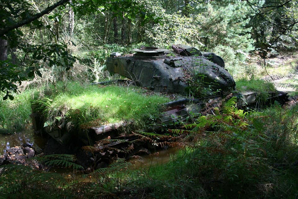 tank in nature