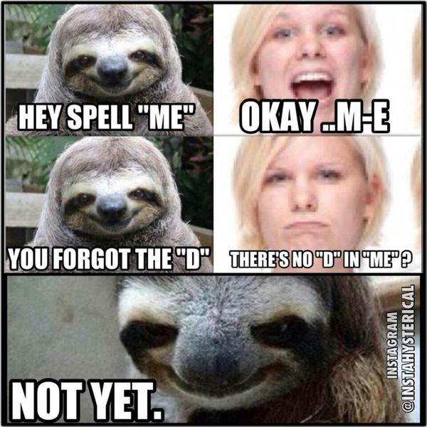 sloth meme - Hey Spell
