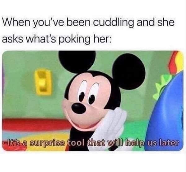 quiet kid memes - When you've been cuddling and she asks what's poking her It's a surprise tool that will help us later