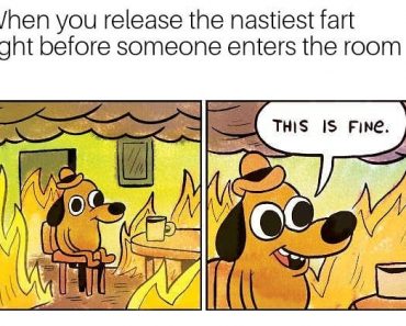 its fine dog - Jhen you release the nastiest fart ght before someone enters the room This Is Fine. Win Vf