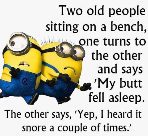 funny minion quotes - Two old people sitting on a bench, will be one turns to the other and says 'My butt fell asleep. The other says, 'Yep, I heard it snore a couple of times.'