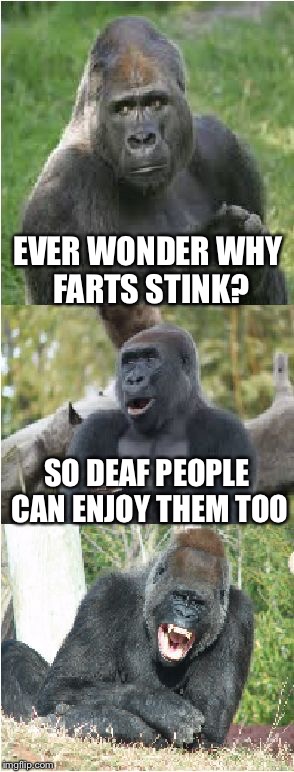 ever wonder why farts stink - Ever Wonder Why Farts Stink? So Deaf People Can Enjoy Them Too mgiip.com