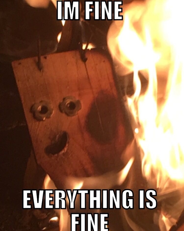 fire meme - Im Fine Everything Is Fine