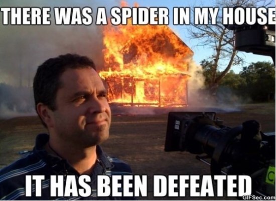 funny fire memes - There Was A Spider In My House It Has Been Defeated Gif Sec.com