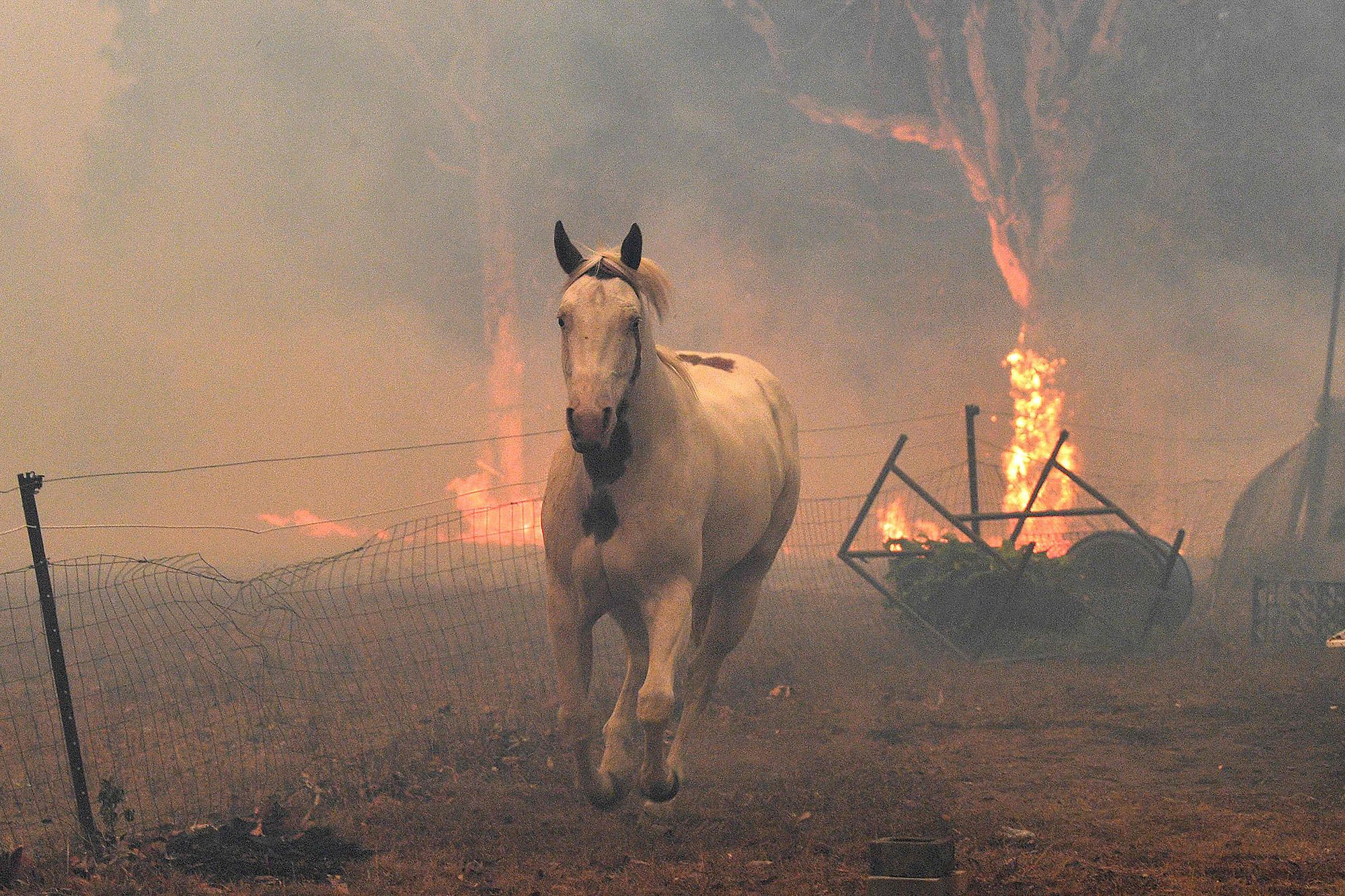 australian fire