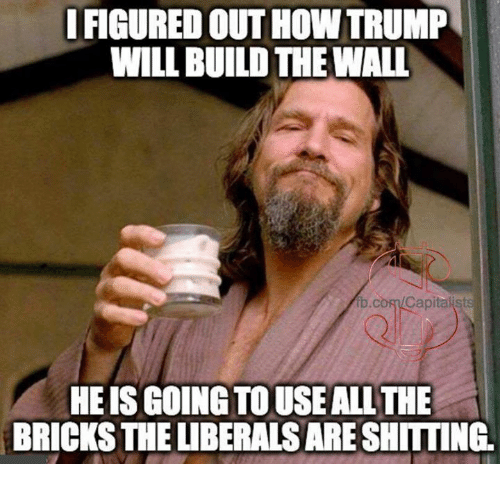 memes big lebowski - I Figured Out How Trump Will Build The Wall fb.co Capitalists He Is Going To Use All The Bricks The Liberals Are Shitting.