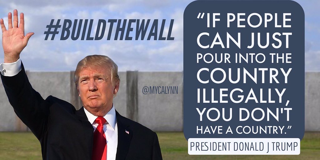 build the wall meme - "If People Can Just Pour Into The Country Illegally, You Don'T Have A Country." President Donald J Trump