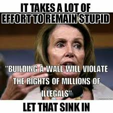 dumbass liberal - It Takes A Lot Of Effort To Remain Stupid "Building A Wall Will Violate The Rights Of Millions Of Illegals" Let That Sink In