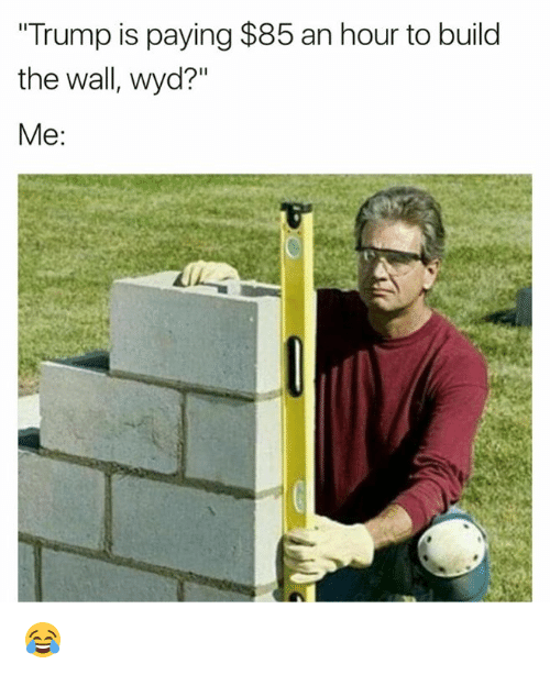 Some Sweet Build the Wall Memes! - Ftw Gallery | eBaum's World
