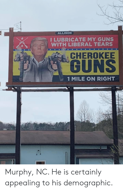 billboard - Allison I Lubricate My Guns With Liberal Tears Cherokee a Guns 1 Mile On Right Murphy, Nc. He is certainly appealing to his demographic.