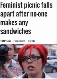 feminist picnic meme - Feminist picnic falls apart after noone makes any sandwiches Topics Feminism Picnic