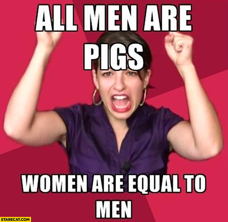 i m triggered - All Men Are Pigs Women Are Equal To Men Starecat.Com
