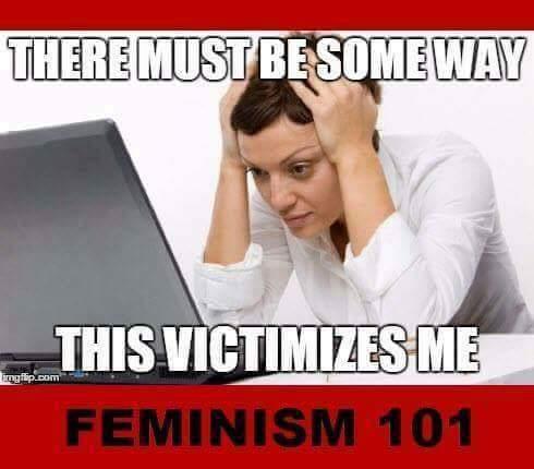 feminist meme - There Must Besome Way This Victimizes Me Feminism 101