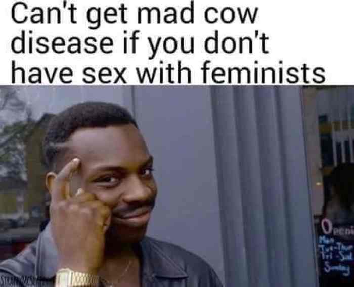 200 iq meme - Can't get mad cow disease if you don't have sex with feminists Sa Stuna