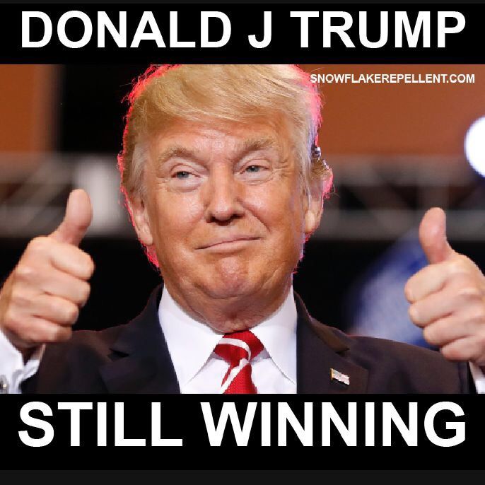 trump wins meme - Donald J Trump Snowflakerepellent.Com Still Winning