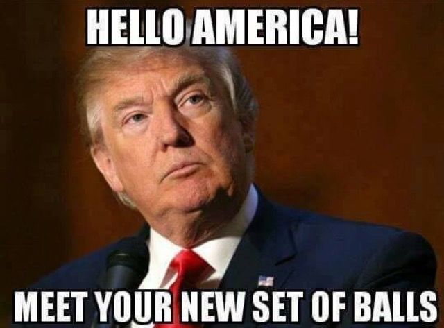 pro trump memes president - Hello America! Meet Your New Set Of Balls