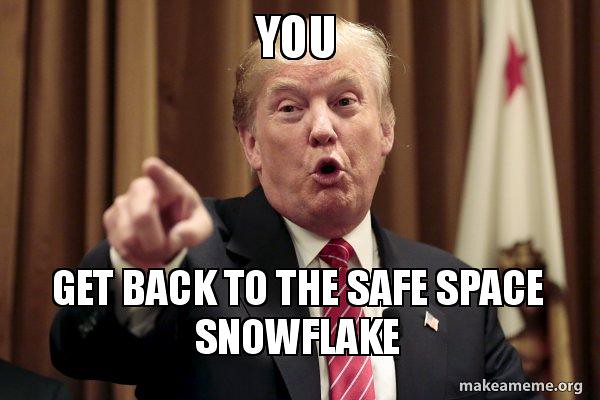 good job trump meme - You Get Back To The Safe Space Snowflake makeameme.org