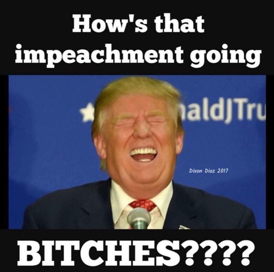 pro trump memes - How's that impeachment going naldJTru Dixon Diaz 2017 Bitches????
