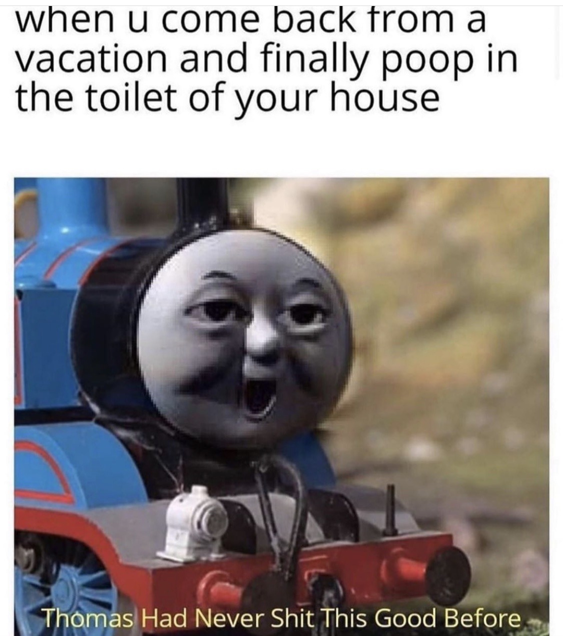 thomas memes - when u come back from a vacation and finally poop in the toilet of your house Thomas Had Never Shit This Good Before