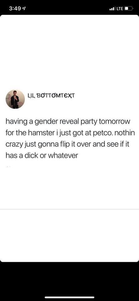 don t have anyone to talk - Il Lte O Lil Bottomtext having a gender reveal party tomorrow for the hamster i just got at petco. nothin crazy just gonna flip it over and see if it has a dick or whatever