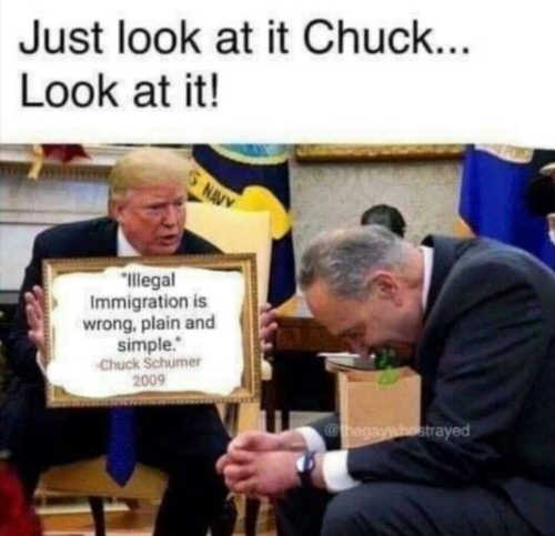 chuck norris epstein meme - Just look at it Chuck... Look at it! illegal Immigration is wrong, plain and simple. Chuck Schumer 2009 Mostrayed