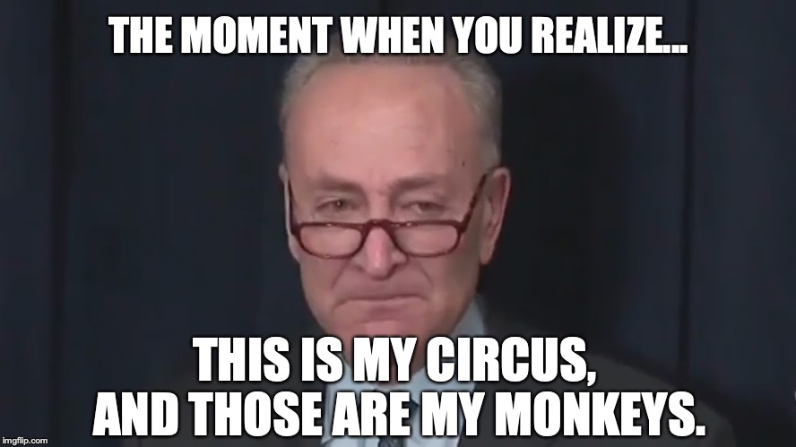 photo caption - The Moment When You Realize... This Is My Circus And Those Are My Monkeys. imgflip.com