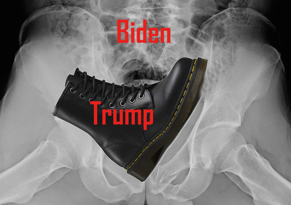 wrecked ass - Biden Decco Trump