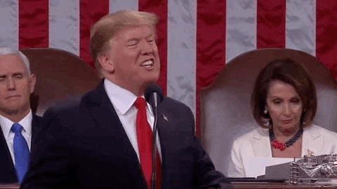 state of the union 2019 gif