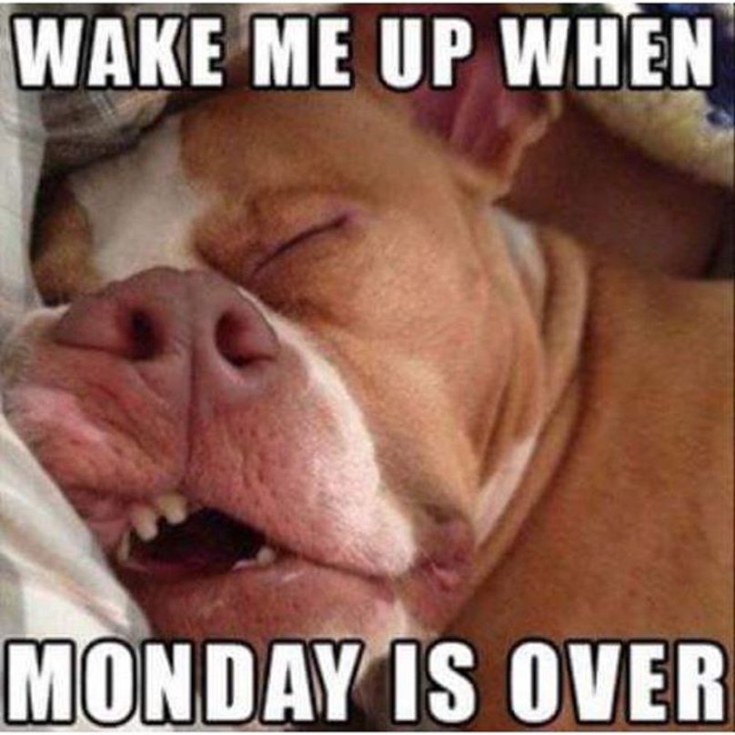 funny monday - Wake Me Up When Monday Is Over