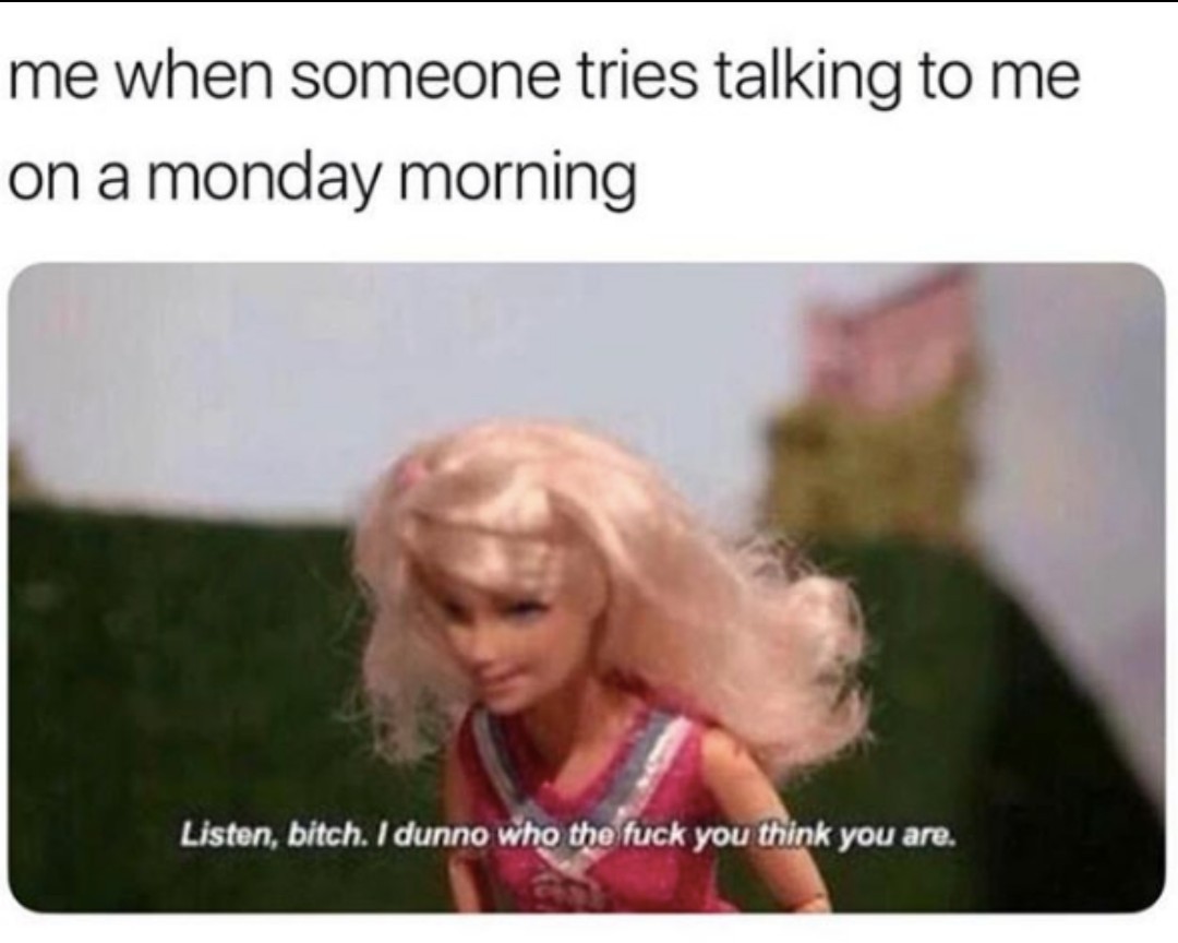 humor funny relatable memes - me when someone tries talking to me on a monday morning Listen, bitch. I dunno who the fuck you think you are.