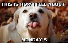 memes about monday - This Is Howfeel About Monday'S Wood