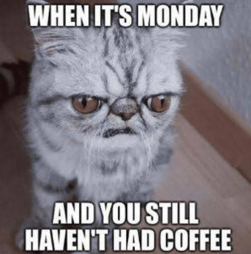 coffee memes monday - When It'S Monday And You Still Haven'T Had Coffee