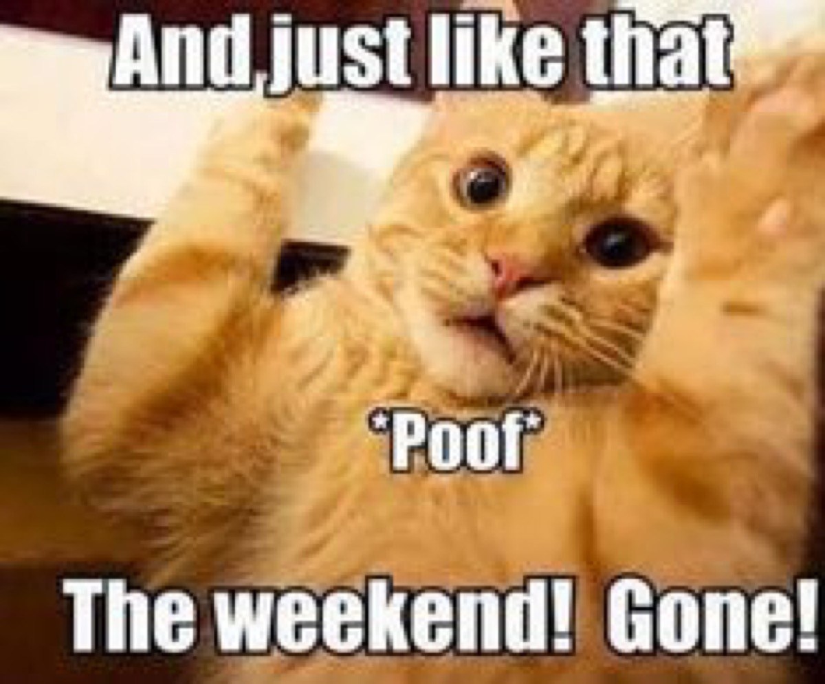 weekends are too short - And just that Poor The weekend! Gone!