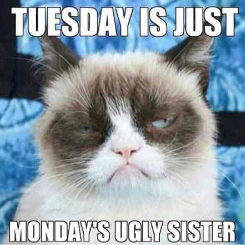 tuesday memes - Tuesday Is Just Monday'S Ugly Sister