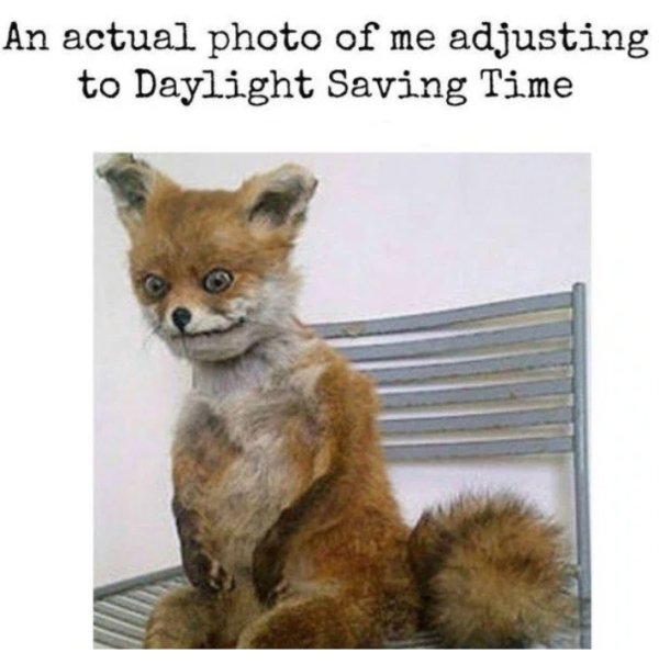 funny spring forward memes - An actual photo of me adjusting to Daylight Saving Time