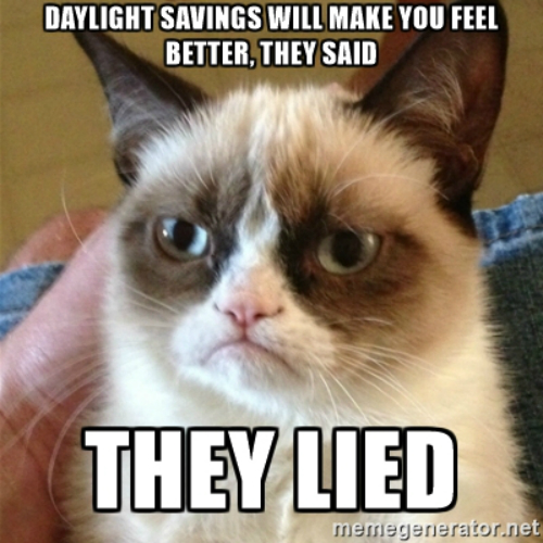 famous grumpy cat memes - Daylight Savings Will Make You Feel Better, They Said They Lied memegenerator.net