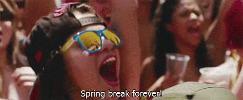 spring break forever gif - Spring break forever!