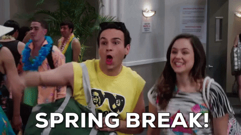 spring break gif - Spring Break!