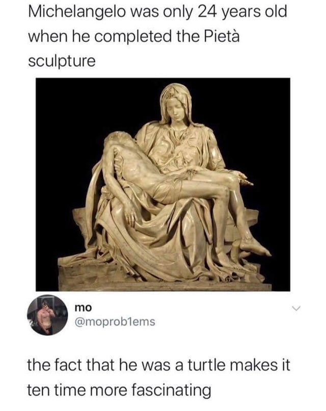 saint peter's basilica, pietà - Michelangelo was only 24 years old when he completed the Piet sculpture mo the fact that he was a turtle makes it ten time more fascinating
