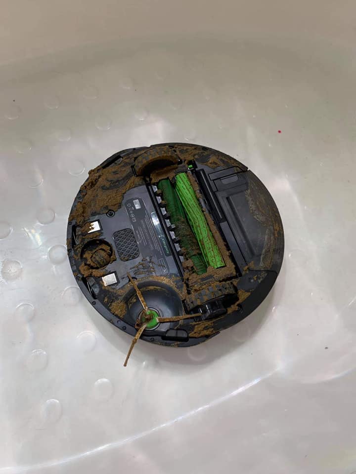 Roomba Cleans Dog Crap