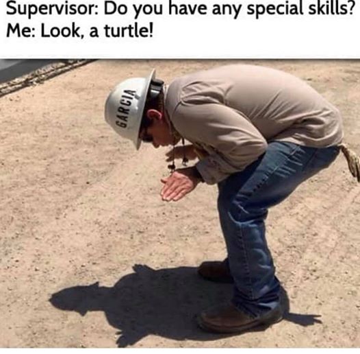 covid 19 memes funny - Supervisor Do you have any special skills? Me Look, a turtle! Visyys