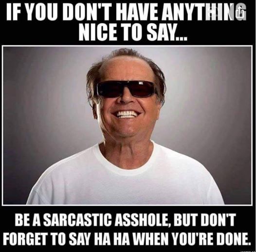 photo caption - If You Don'T Have Anything Nice To Say... Be A Sarcastic Asshole, But Don'T Forget To Say Ha Ha When You'Re Done.